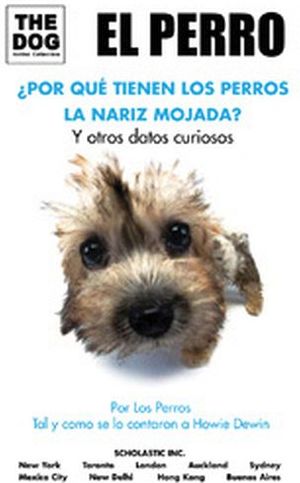 PERRO POR QUE TIENEN LOS PERROS LA NARIZ MOJADA, EL