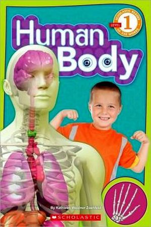 HUMAN BODY