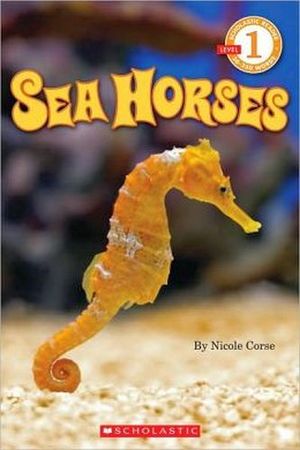 SEA HORSES LEVEL 1