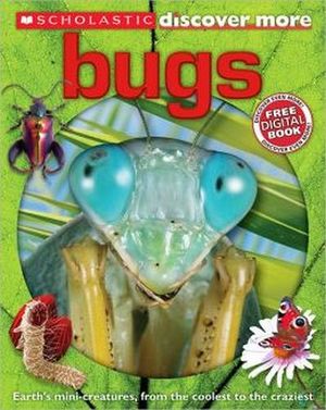 SCHOLASTIC DISCOVER MORE: BUGS