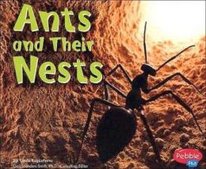 ANTS AND THEIR NESTS