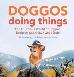 DOGGOS DOING THINGS