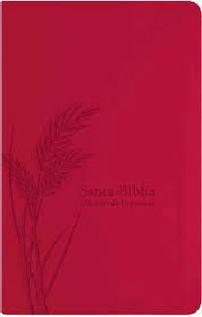 SANTA BIBLIA -BIBLIA DE PROMESAS-      (MANUAL/PIEL FUCSIA/RVR60)