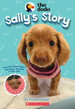 SALLYS STORY