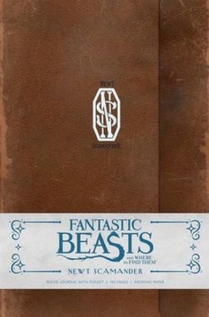 FANTASTIC BEASTS AND WHERE TO FIND THEM