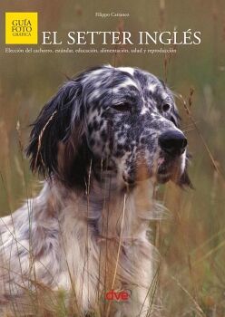 EL SETTER INGL�S
