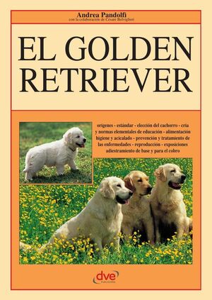 EL GOLDEN RETRIEVER