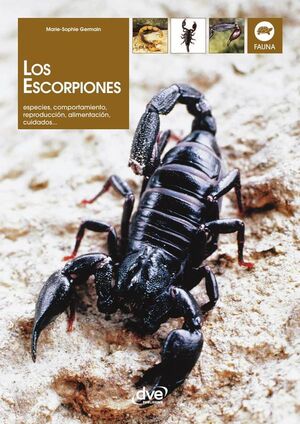 LOS ESCORPIONES