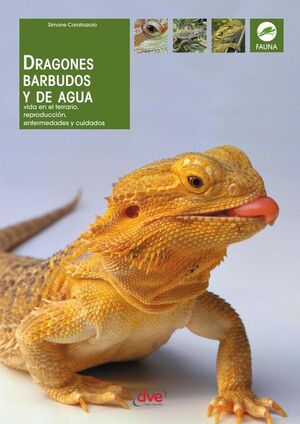 DRAGONES BARBUDOS Y DE AGUA