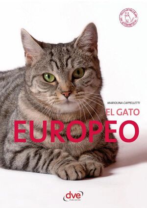 EL GATO EUROPEO