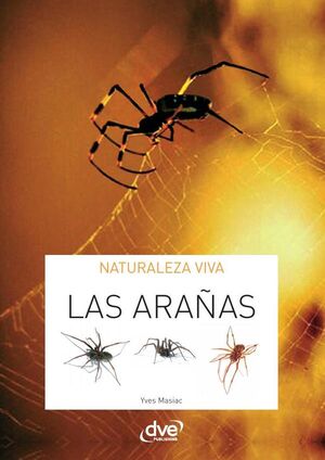 LAS ARA�AS