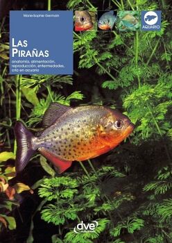LAS PIRAAS