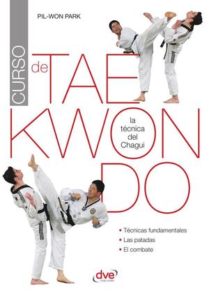 CURSO DE TAEKWONDO