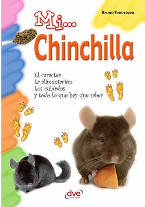 MI... CHINCHILLA