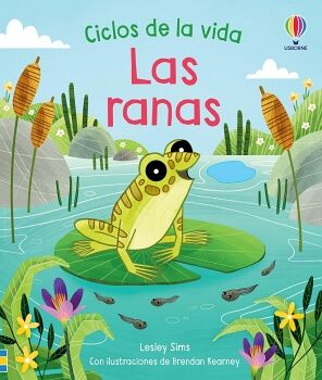 CICLOS DE LA VIDA -LAS RANAS- (EMPASTADO)
