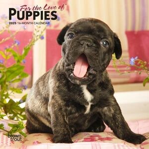 MINI 7X7 PUPPIES, FOR THE LOVE OF 2025