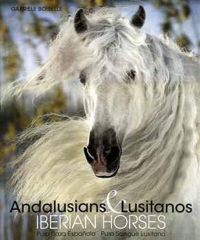 FOLIO: IBERIAN HORSES ANDALUSIANS AND LUSITANOS
