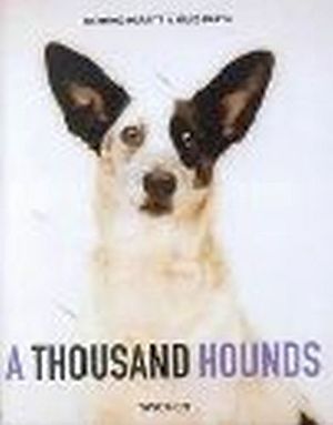 A THOUSAND HOUNDS