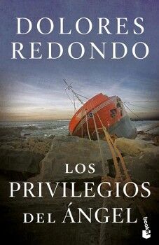 LOS PRIVILEGIOS DEL NGEL