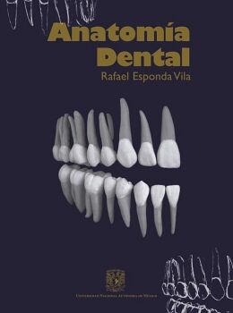 ANATOM�A DENTAL