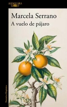 A VUELO DE PJARO