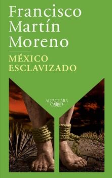 MXICO ESCLAVIZADO