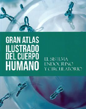 SISTEMA ENDOCRINO Y CIRCULATORIO, EL   (GRAN ATLAS ILUST.DEL C.H.