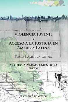 VIOLENCIA JUVENIL Y ACCESO A LA JUSTICIA.