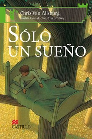 SOLO UN SUEO                        (CASTILLO DE LA LECTURA)
