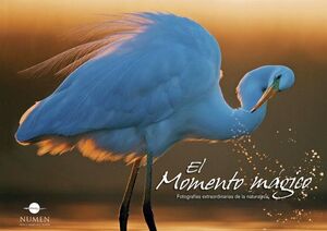 EL MOMENTO M�GICO