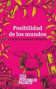 POSIBILIDAD DE LOS MUNDOS
