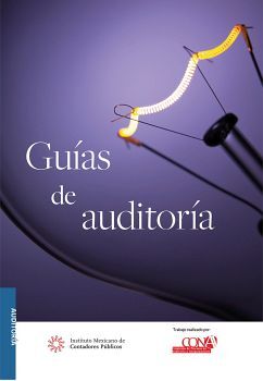 GUAS DE AUDITORA PROFESIONAL 4ED.