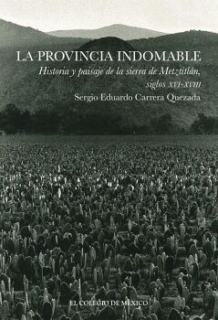 LA PROVINCIA INDOMABLE HISTORIA Y PAISAJE DE LA SIERRA DE METZTITLN, SIGLOS XVI-XVIII