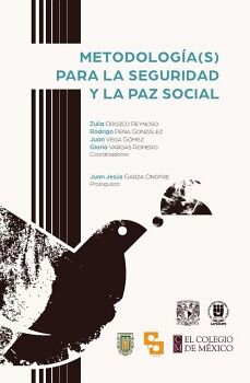 METODOLOGA(S) PARA LA SEGURIDAD Y LA PAZ SOCIAL
