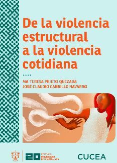 DE LA VIOLENCIA ESTRUCTURAL A LA VIOLENCIA COTIDIANA