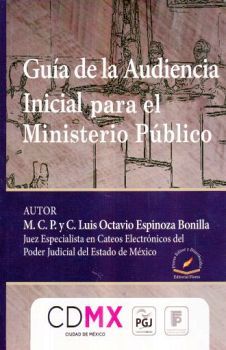 GUA DE LA AUDIENCIA INICIAL PARA EL MINISTERIO PBLICO