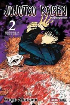 JUJUTSU KAISEN VOL.2 -LA ENCARNACIN DEL FETO-