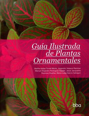 GUIA ILUSTRADA DE PLANTAS ORNAMENTALES (BBA)