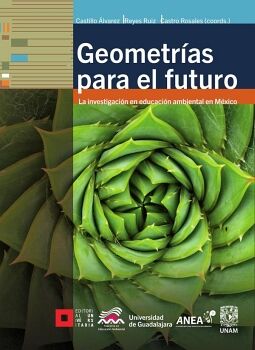 GEOMETRIAS PARA EL FUTURO -INVESTIGACION EN EDUCACION AMB.MEXICO-