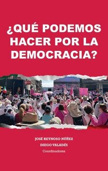 �QU� PODEMOS HACER POR LA DEMOCRACIA?