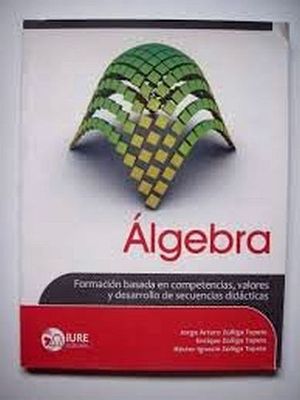 �LGEBRA -COMPETENCIAS Y VALORES/DGETIS-