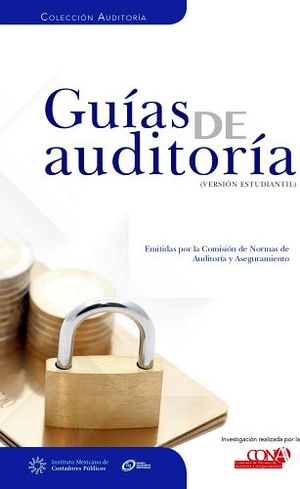 GUIAS DE AUDITORIA 2ED. (PROFESIONAL)