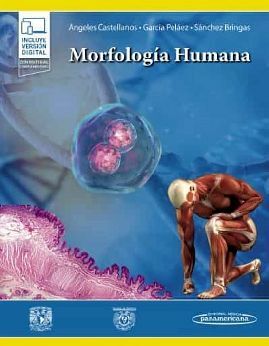 MORFOLOGA HUMANA (ED.2022)