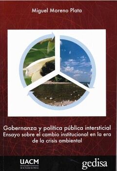 GOBERNANZA Y POLTICA PBLICA INTERSTICIAL