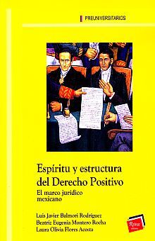 ESPIRITU Y ESTRUCTURA DEL DERECHO POSITIVO -EL MARCO JURIDI