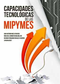 CAPACIDADES TECNOLGICAS DE LAS MIPYMES