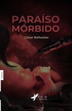PARASO MRBIDO