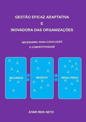 GESTO EFICAZ ADAPTATIVA  E INOVADORA DAS ORGANIZAES