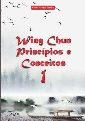 WING CHUN PRINCPIOS E CONCEITOS 1