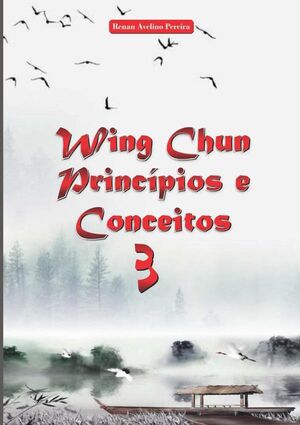 WING CHUN PRINCPIOS E CONCEITOS 3